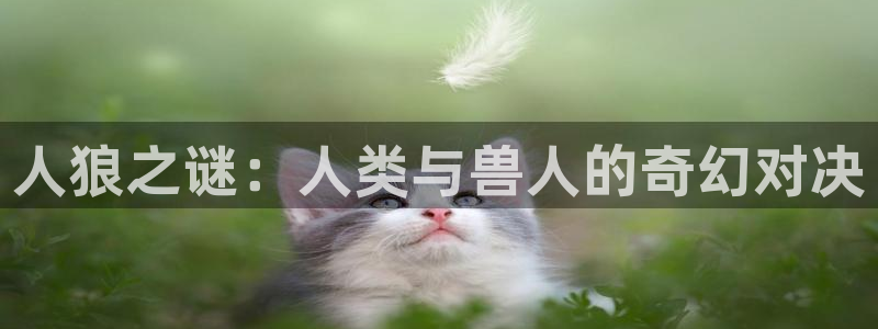 沐鸣1平台登录线路