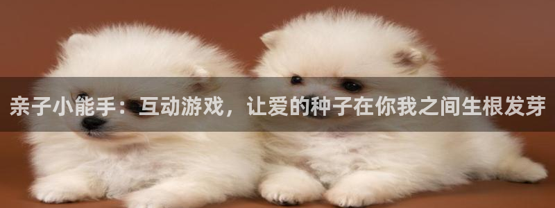 沐鸣注册账号是什么：亲子小能手：互动游戏，让爱的种子在你我之