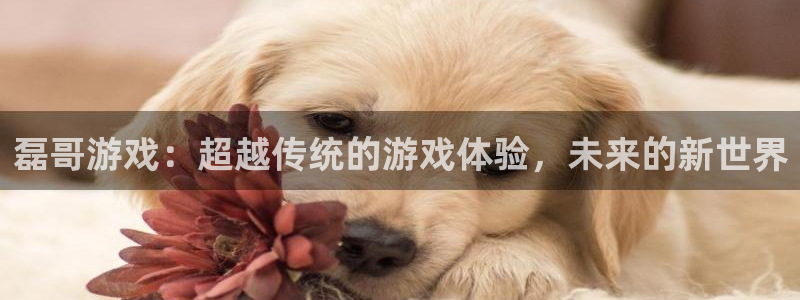 沐鸣总代理：磊哥游戏：超越传统的游戏体验，未来的新世界