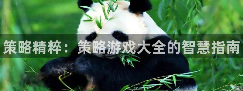 沐鸣注册平台：策略精粹：策略游戏大全的智慧指南