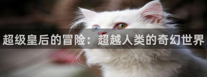 沐鸣娱乐测速：超级皇后的冒险：超越人类的奇幻世界